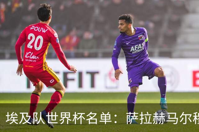 埃及队世界杯名单：萨拉赫马尔穆什领衔 首战踢比利时