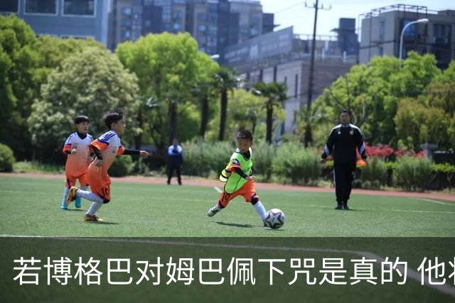 若博格巴对姆巴佩下咒是真的 他将再也进不了法国队