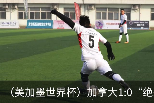 （美加墨世界杯）加拿大1:0“绝杀”南非 队史首进16强