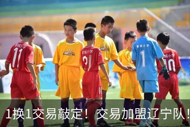 1换1交易敲定！交易加盟辽宁队！千万级别的超级新星