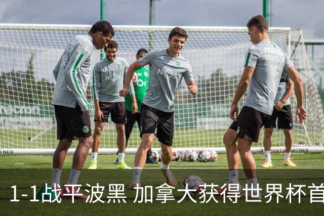 1-1战平波黑 加拿大获得世界杯首个积分